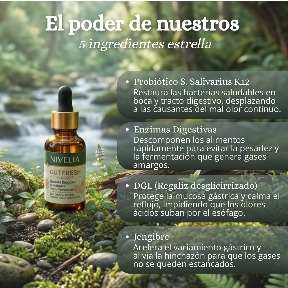 NIVELIA® GUTFRESH — Elimina el mal aliento desde su origen digestivo, no solo lo enmascaras — Sabor Yerbabuena — con solo 2 gotas al día - resultados desde la primera toma