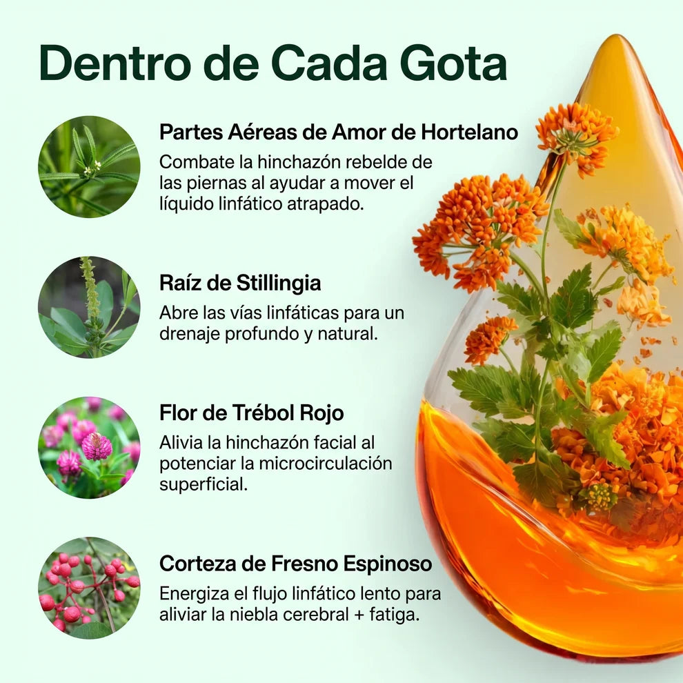 NIVELIA® Siéntete más ligera, menos hinchada y con energía de forma natural en solo 12 días